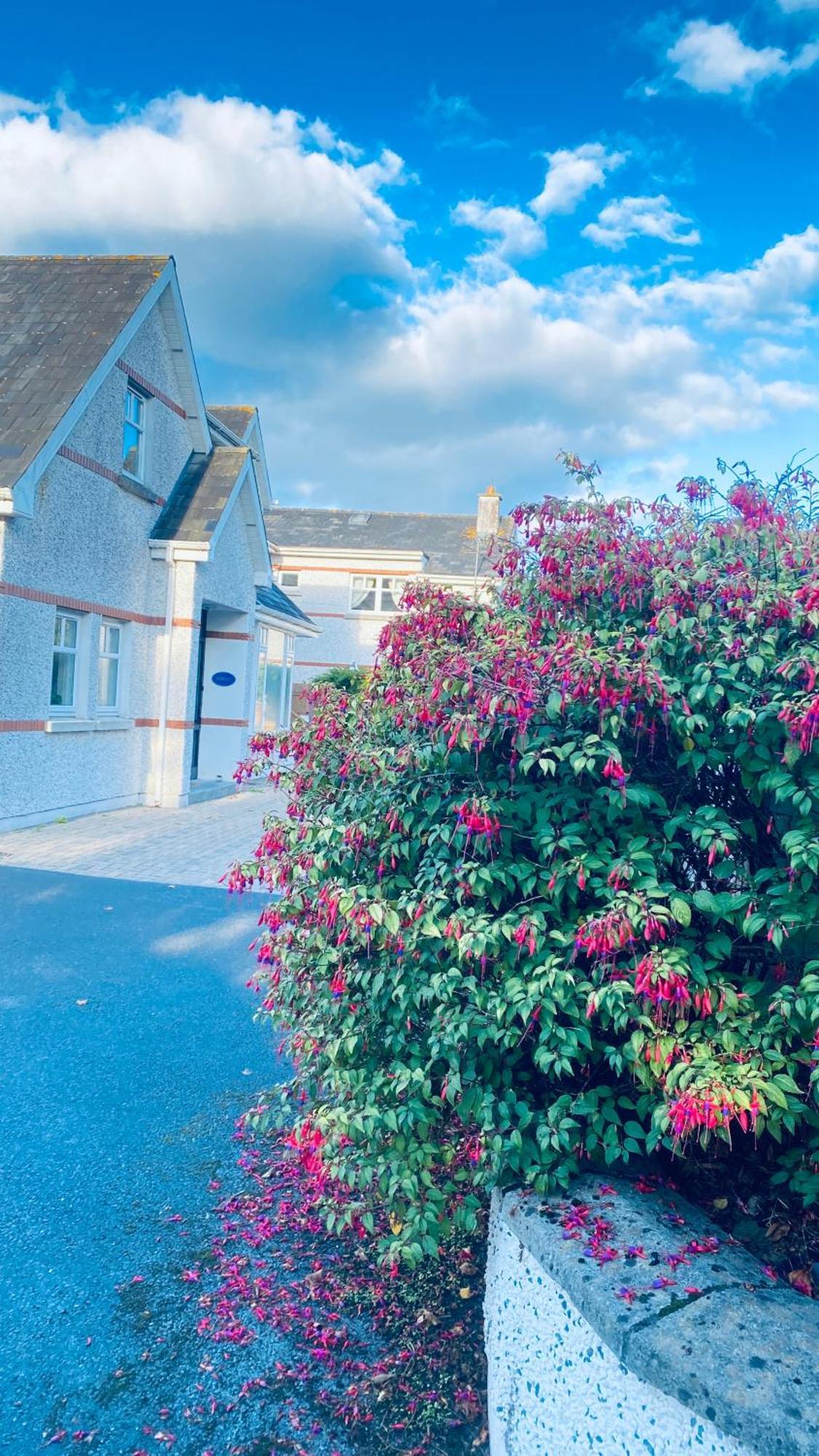 Sonas House Bed & Breakfast Kilkenny Exterior photo